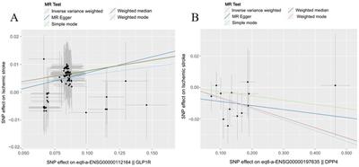 Causal relationship between novel antidiabetic drugs and ischemic stroke: a drug-targeted Mendelian randomization study